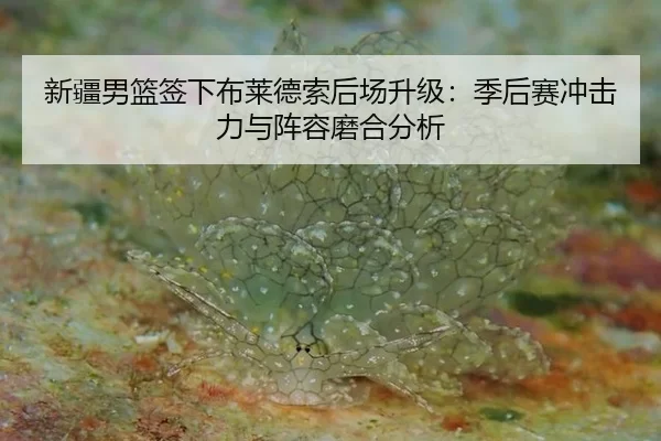 xin-jiang-nan-lan-qian-xia-bu-lai-de-suo-hou-chang-sheng-ji-ji-hou-sai-chong-ji-li-yu-zhen-rong-mo-he-fen-xi-2-588.jpg